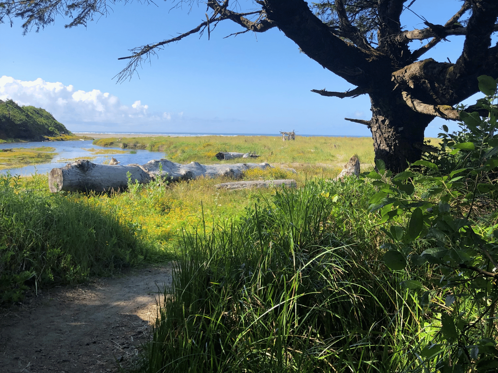A walk-on beach access is less than a minute's walk from The Uplift