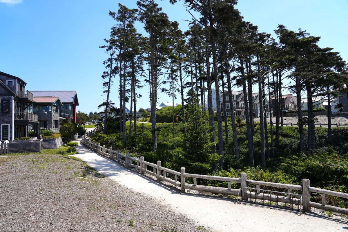 View Looking East