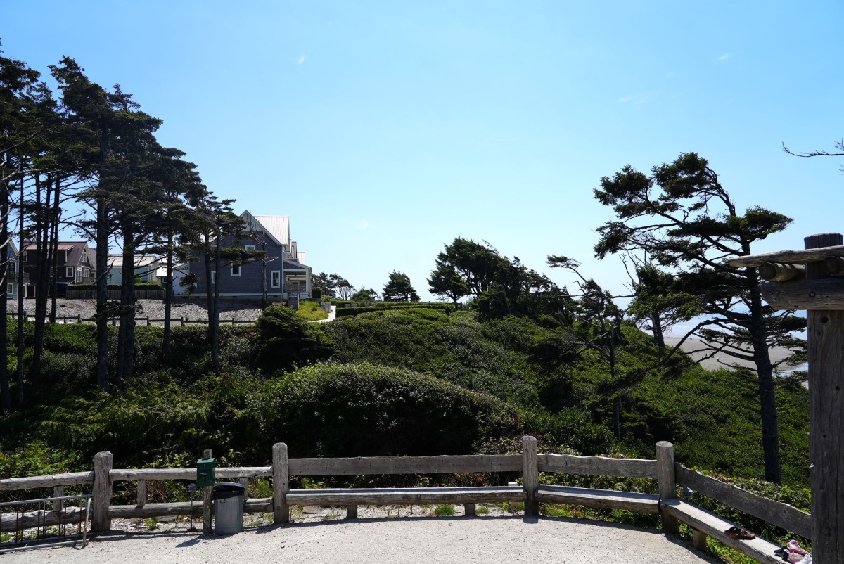 View Looking South
