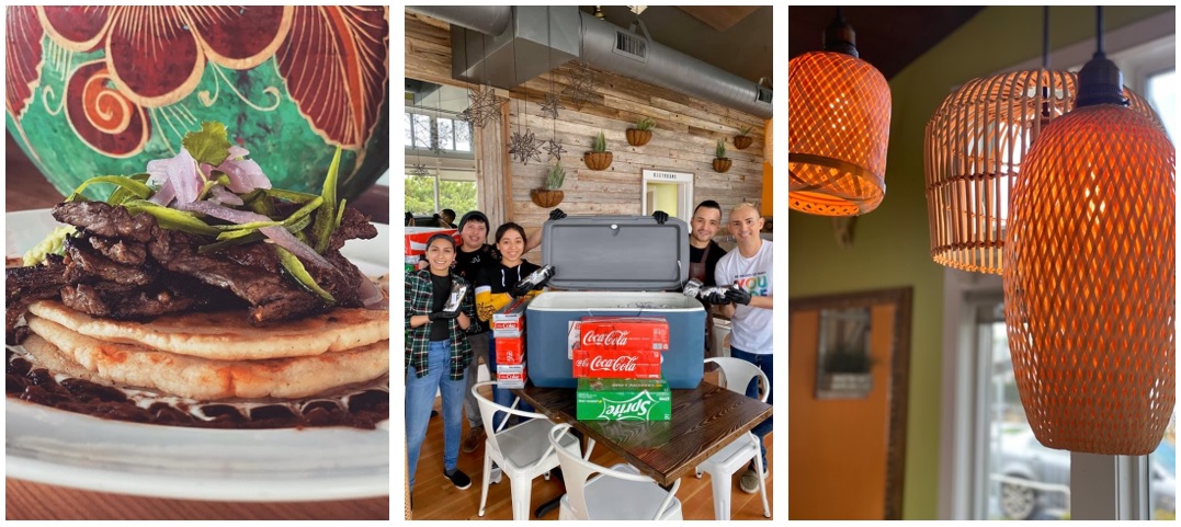 Koko's experience Koko's experience