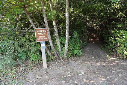 Troll Trail In Seabrook
