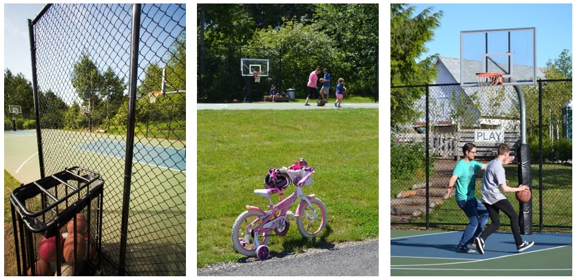 Sports Courts Sports Courts