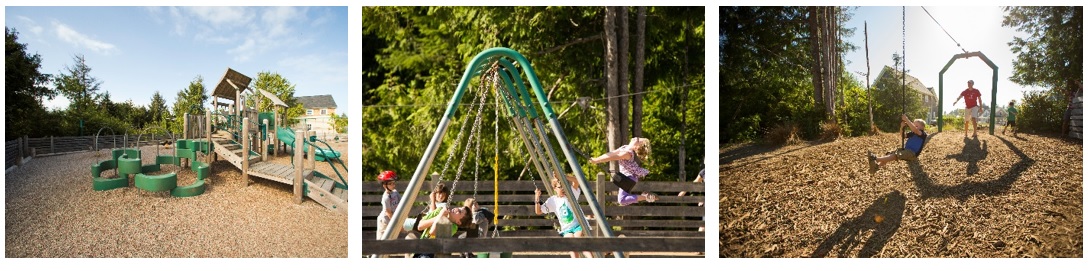 Playground and More Playground and More