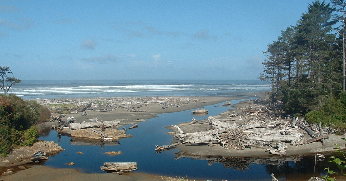 Kalaloch Beach on the Washington Coast
