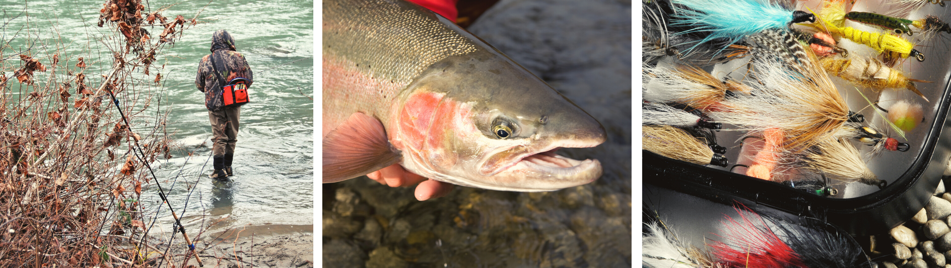 Head Out To Fish One Of The Many Nearby River Destinations!