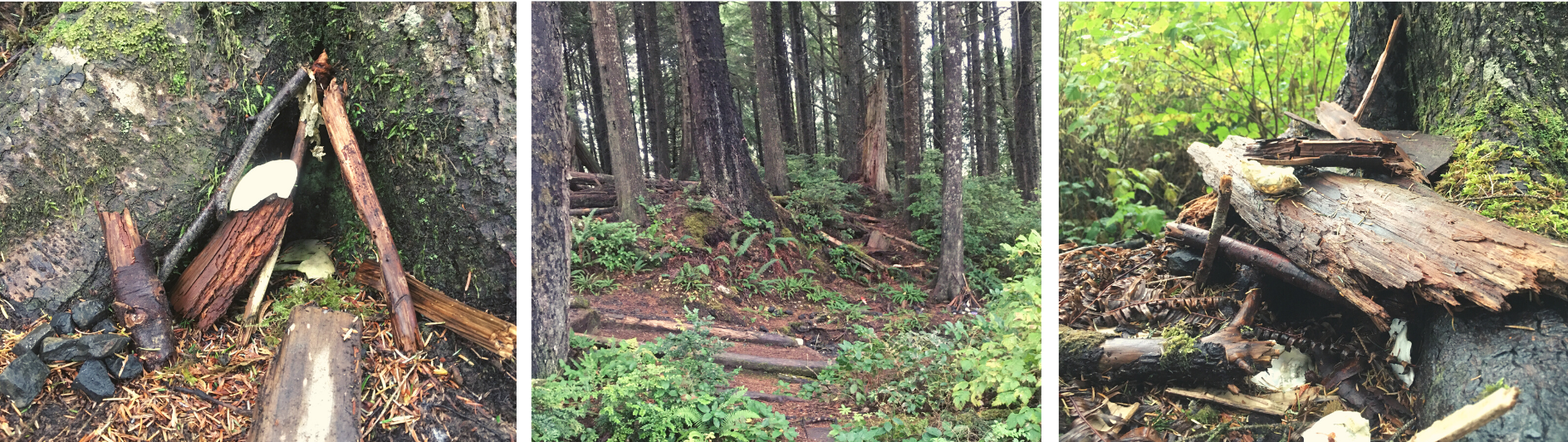 Add Your Own Creations To The Magical Gnome Trail In Seabrook!