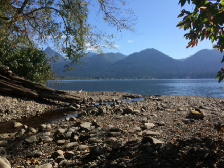 Lake Quinault