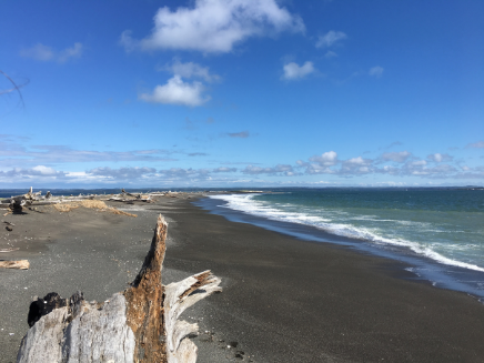 Damon Point In Ocean Shores, WA