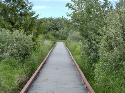 Bottle Beach State Park