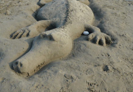 Create Intricate Designs Or Anything That Comes To Mind On The Sandy Beach!