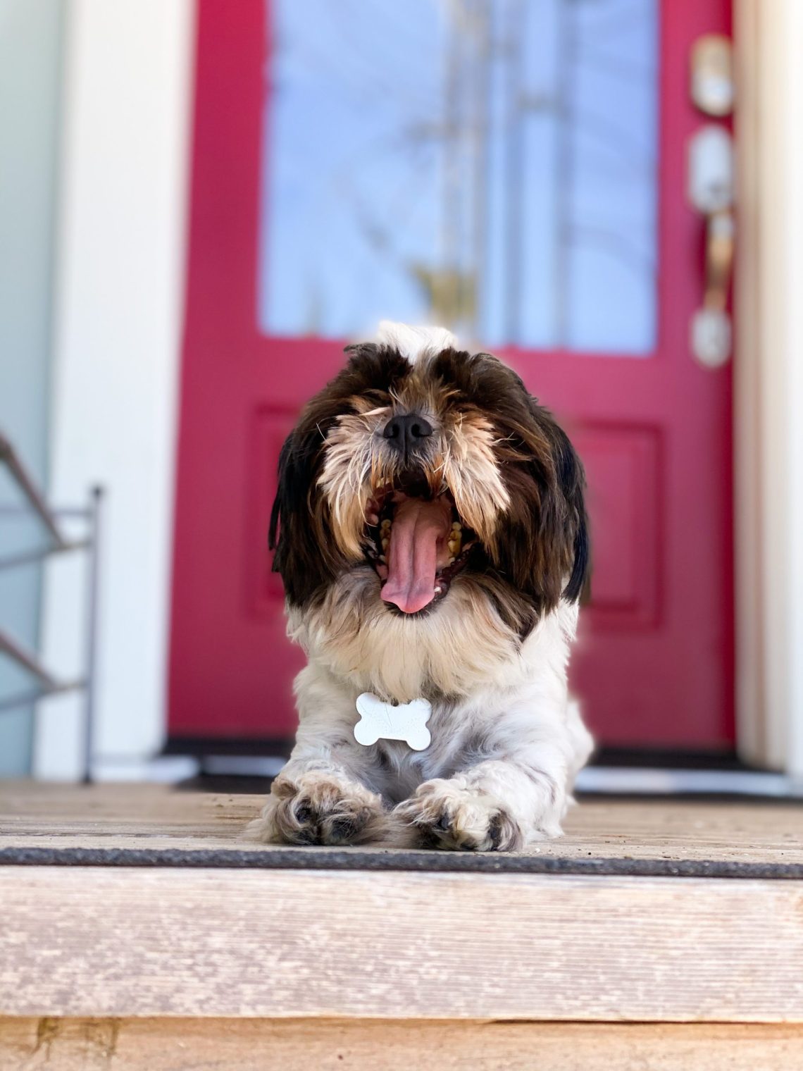Amenities at Seabrook, Washington