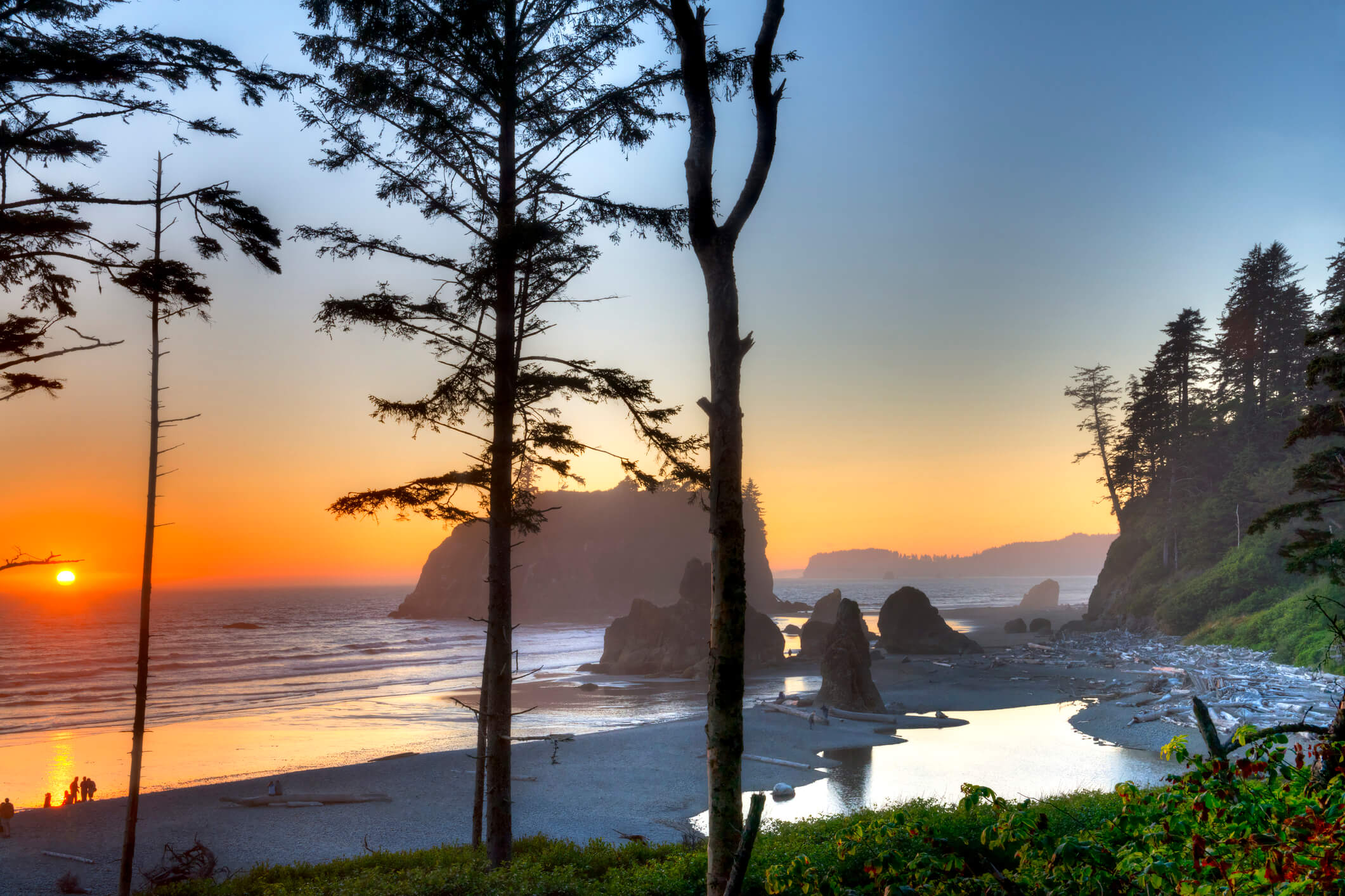 When researching vacation ideas in the Pacific Northwest, you should consider the charming coastal town of Seabrook!