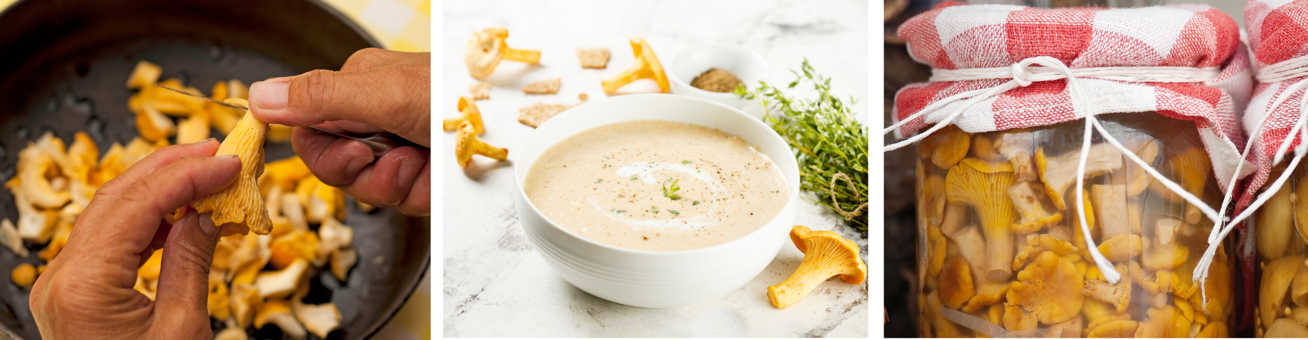 There Are Endless Ways To Prepare Mushrooms & Dishes Using Them!