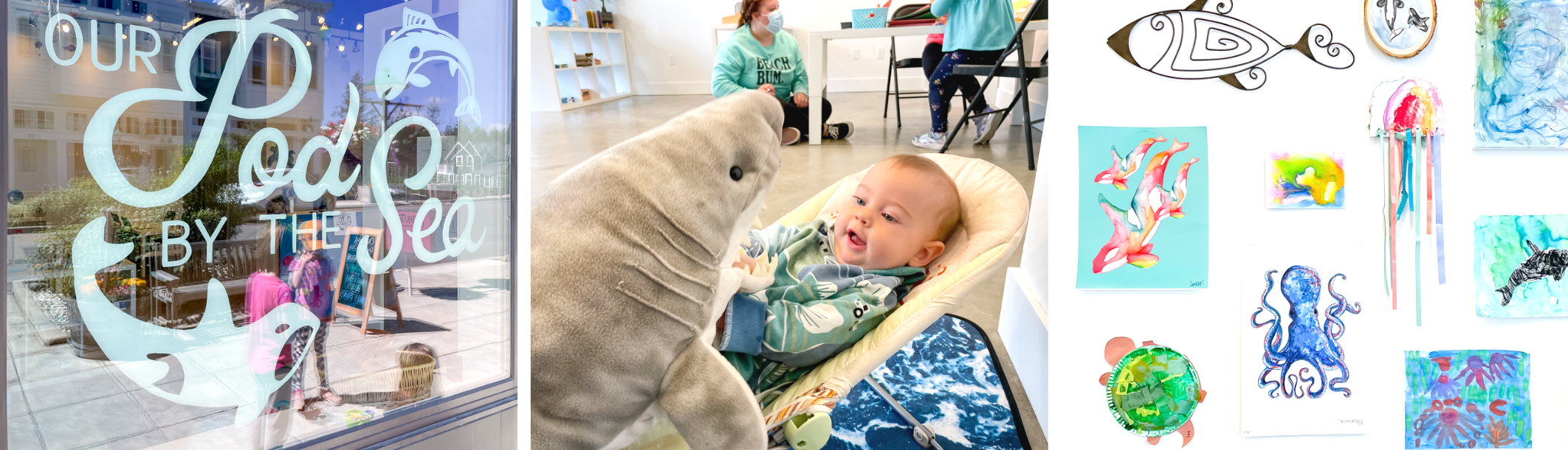 Our Pod By The Sea In Seabrook