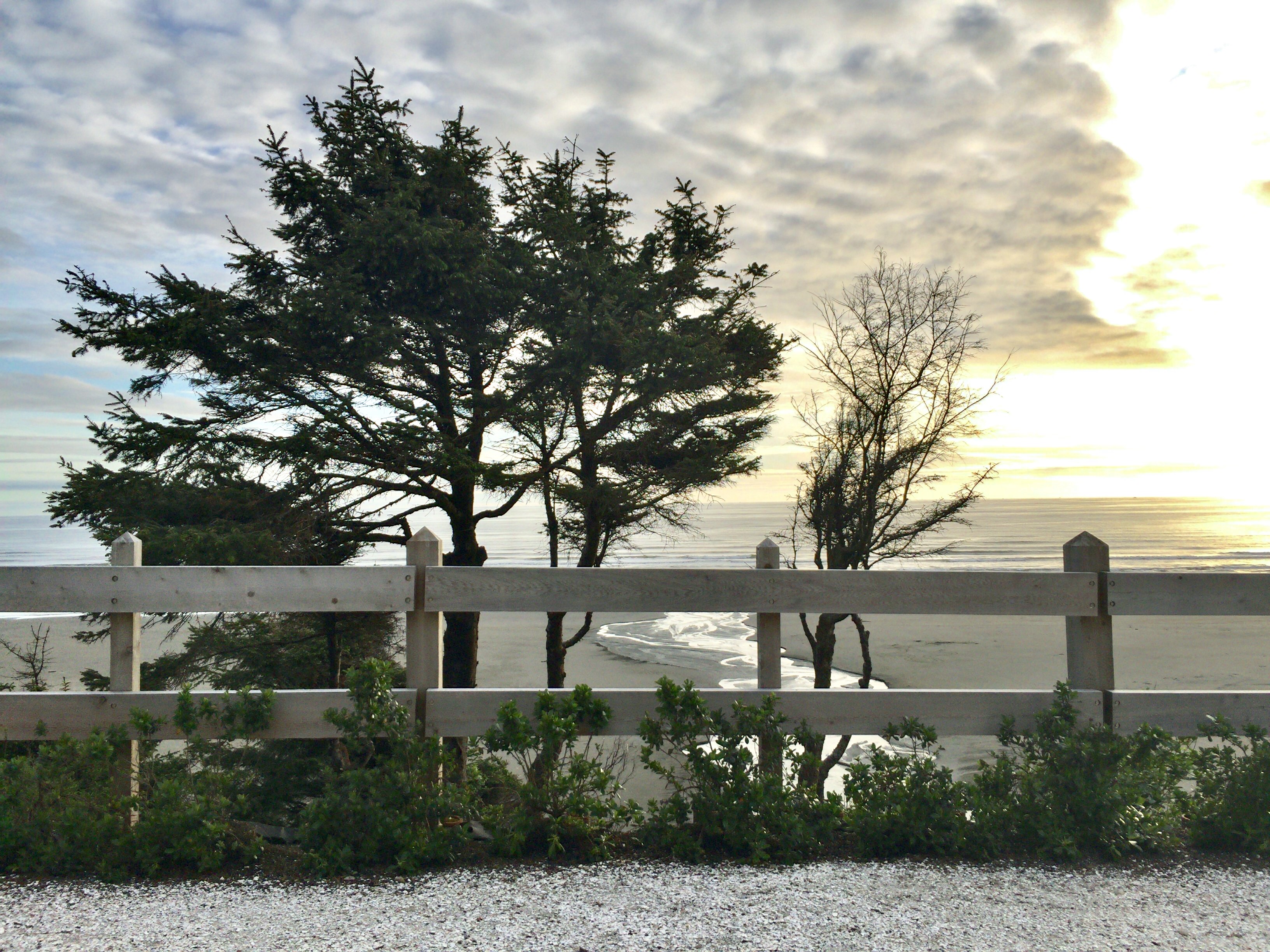 Watch For Whales From Seabrook