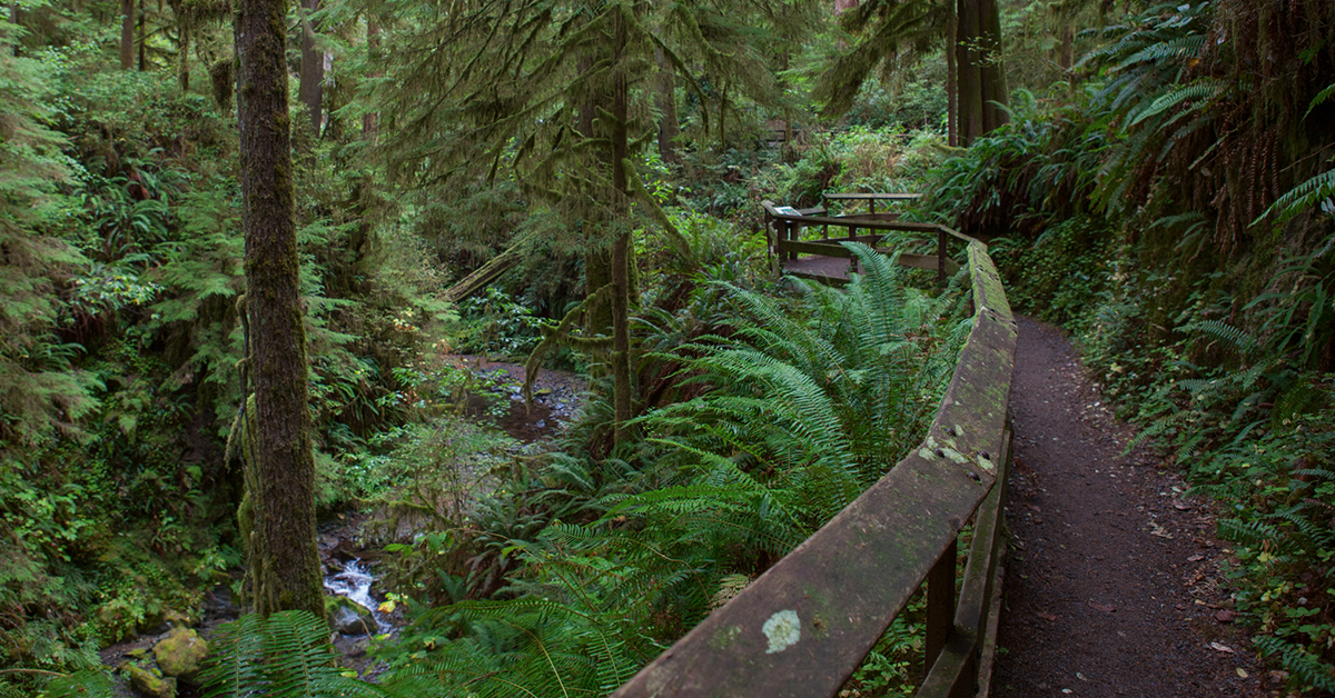 Winter Hiking Trails