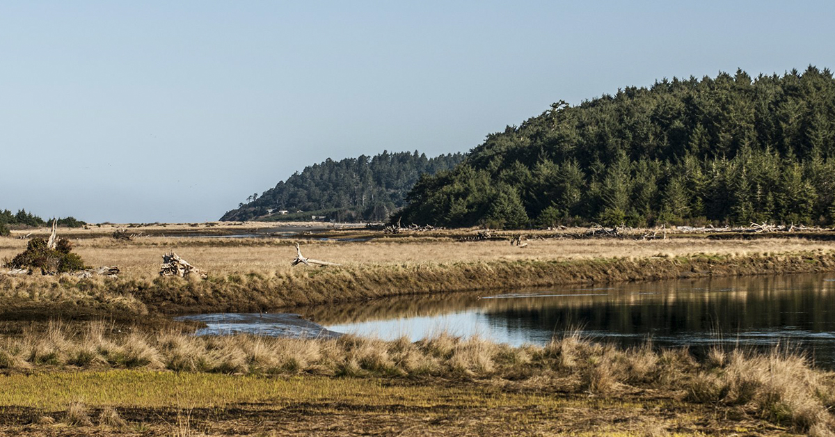 Griffith-Priday State Park is located 20 minutes south of Seabrook on the Pacific coast.