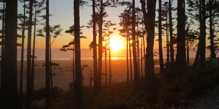 The sun setting between the trees at Seabrook