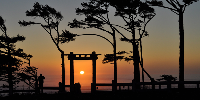 The iconic Seabrook arbor