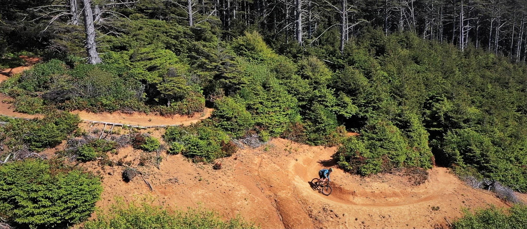 Mountain Biking In Seabrook