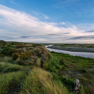 Seabrook Blog | Seabrook Vacation Rentals