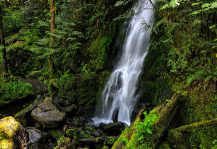 Olympic National Park Waterfall Image By Ryan Mildrad Photography