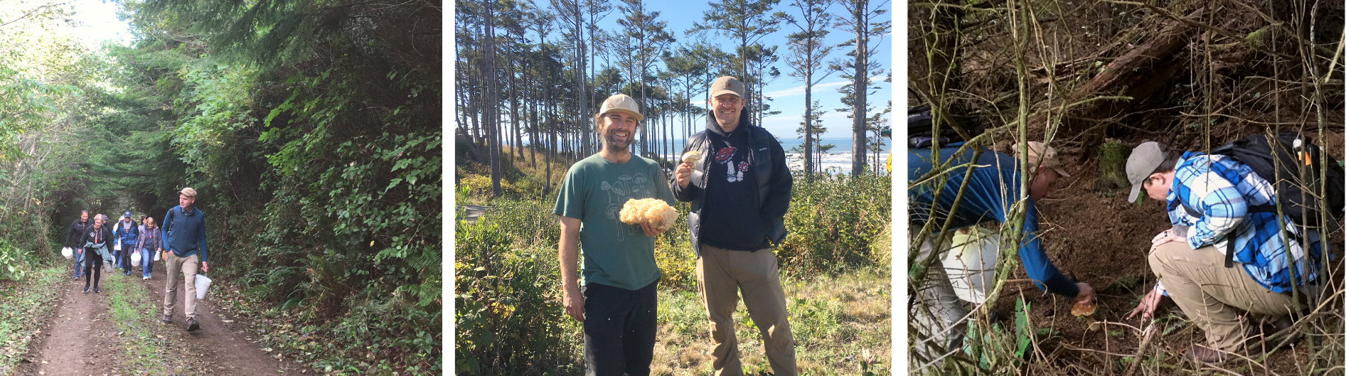 A Successful Mushroom Foraging Experience In Seabrook
