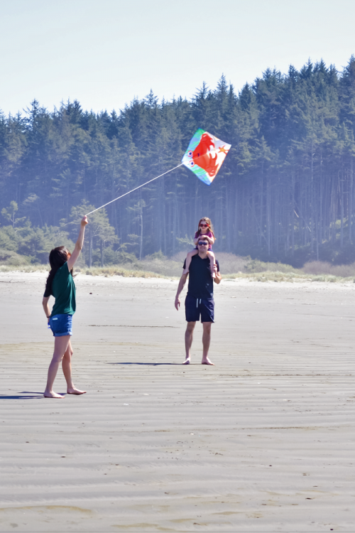 Flying Kites In Seabrook