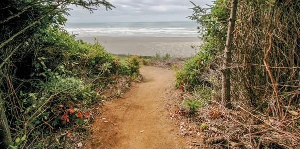 A mountain bike trail heading towards the Pacific Ocean